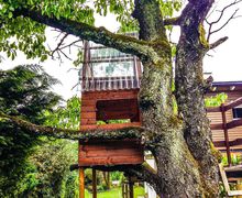 How to build a treehouse?