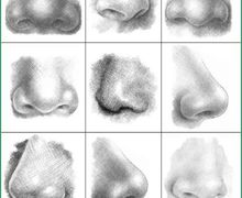How To Draw A Human Nose