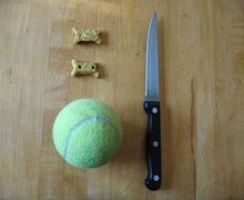 How To Make Dog Toys