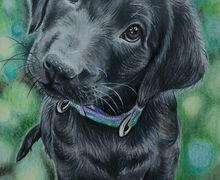 Pet/Dog/Cat Custom portrait from photo