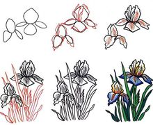 How To Draw A Simple Flower