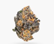 Buy Black Cherry Punch (AAAA) Weed Online | Calming and Relaxing Strain