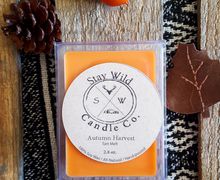 Autumn Harvest_Soy Wax Tart Melt