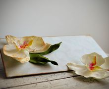 A souvenir postcard with orchid