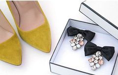 Dress & Shoe Clips