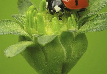 Premium Carpet Decal Floor Graphics | Slip And Puncture Resistant