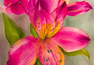 Bright Alstromeria at Lunch