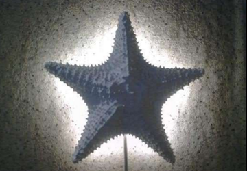 Handmade star-shaped lamp