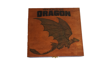 How to Train your Dragon