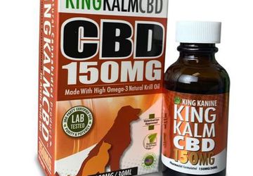 CBD Oil for Dogs | King Kanine