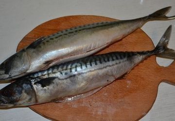 How To Cook Mackerel