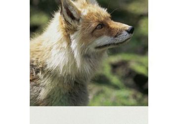 3M Floor Decal | Long-Lasting Indoor Floor Graphics