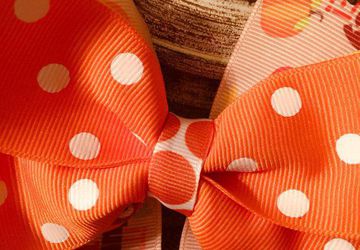 Boutique Hair Bow with Alligator Clip with Free Shipping