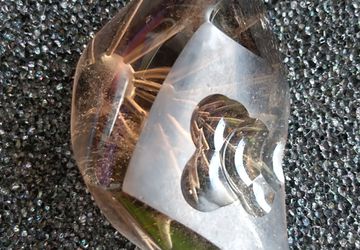 Hand carved Smokey quartz crystal
