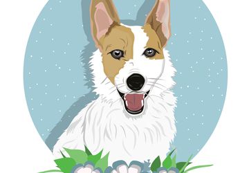 Custom Pet Portrait - Cute Dog Portrait