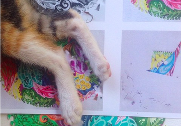 A souvenir card "Zentangle"