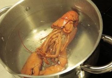 How To Cook Lobster Tail