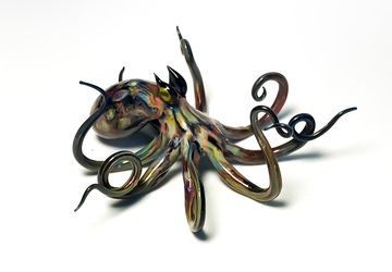 Caribbean Reef Octopus - Borosilicate Glass Sculpture by Rafael Glass