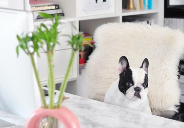 DIY Marble Table Makeover