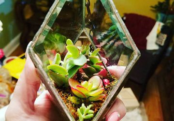 Hanging Bevel Prism with succulents