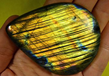 A big labrador cabachon