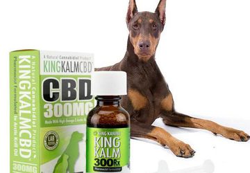 300mg Dog CBD Oil for Doberman Pinschers| Promote Overall Health