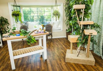 10 DIY cat trees