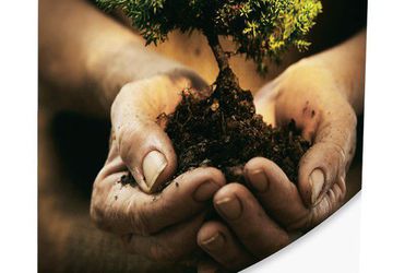 Buy Nimbus 11 Tabletop Retractable Banners | Banner Stand Pros