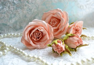 Hair-pins "Rose Tenderness"