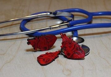 "Heart" - a brooch and a pendant