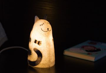 Felt lamp "Loaf Cat"