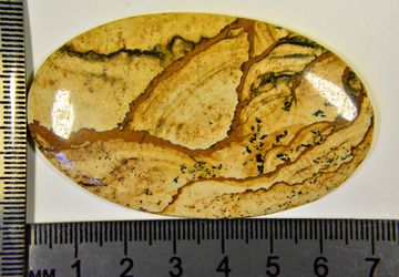 Wonderstone jasper cabochon