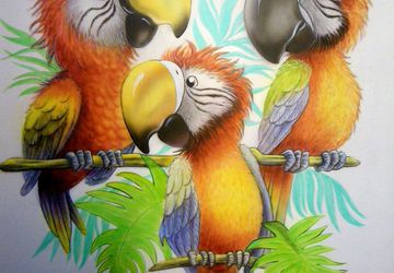 Parrots - a painting in aerographics without frame