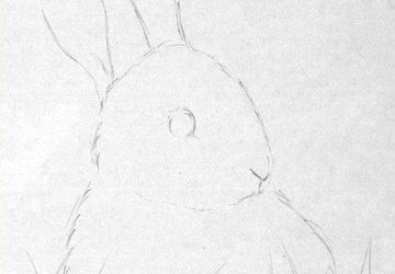 How To Draw A Rabbit