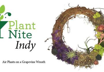 Air Plants on a Grapevine Wreath