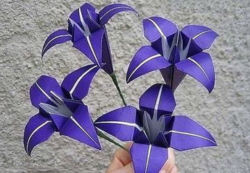 Origami Lily