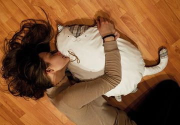 A toy pillow "A cat"