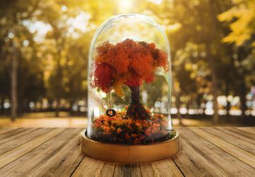 Autumn Terrarium Kit, Autumn decorations, Autumn Leaves, Fall Decor, Fall, Fairy Garden with Tire swing, Autumn Wedding, Fall Decorations,
