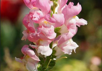 Alumalite Outdoor Signs | Top Choice for Trade Show Exhibits