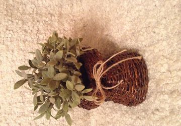 A small planter "Magic paper"