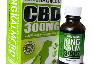 CBD for Pets | Best CBD Oil for Dogs | King Kanine