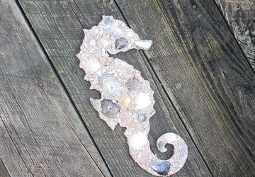Shell Covered Seahorse