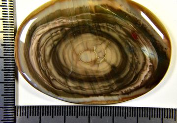 "Imperial" - a big Mexican jasper cabochon