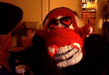 shell's craft corner