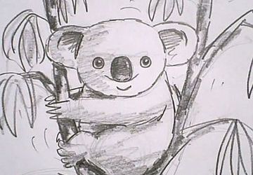 How To Draw A Koala