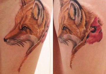Fox