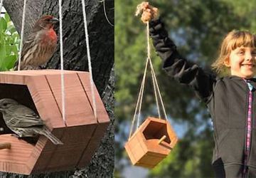 KIDS Workshop - Bird Feeder