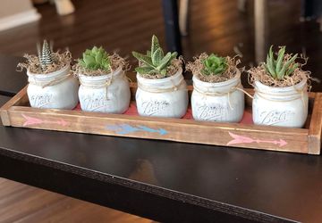 Summer Succulent Workshop