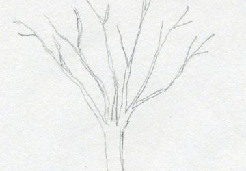 How To Draw A Tree