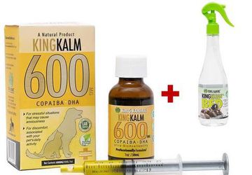 Hemp for Dogs | King Kanine Wellness